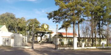 Directora de Utu Prof. Karina Vidal: «Thomas fue atendido desde el primer día en su situación personal y educativa»