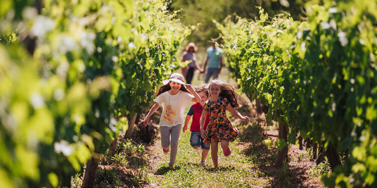 Se viene el Día Internacional del Enoturismo
