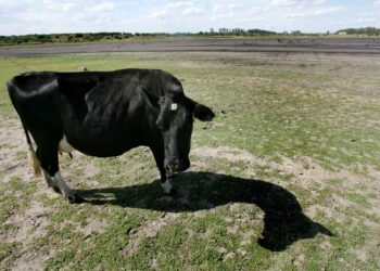 Uruguay implementa cortes de agua programados por su «agravada» sequía