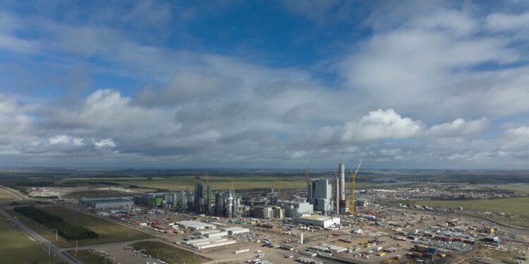 La planta UPM Paso de los Toros inicia su proceso de puesta en marcha