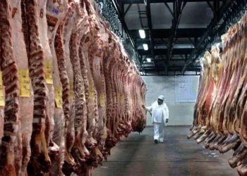 Israel habilita la exportación de carne con hueso desde Uruguay