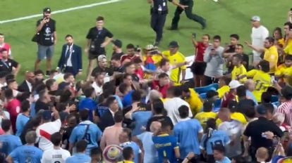 Núñez, Ronald Araújo y otros uruguayos saltan a la grada y pelean con hinchas colombianos 22 Núñez, Ronald Araújo y otros uruguayos saltan a la grada y pelean con hinchas colombianos