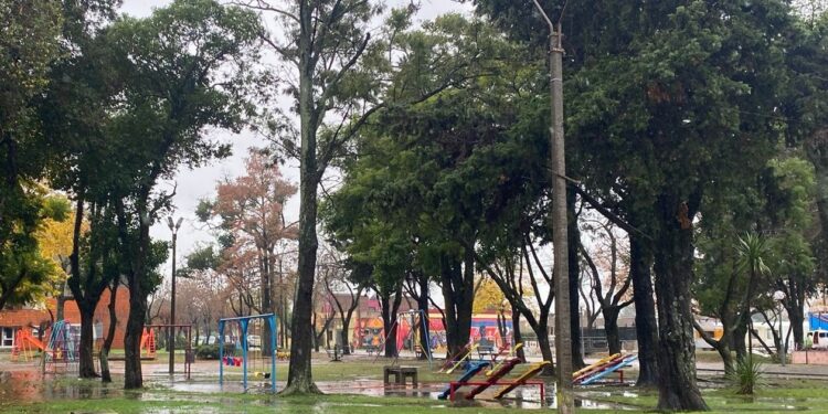 Alerta amarilla: el viento sacude el sur