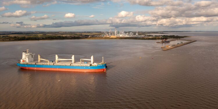 Montes del Plata reafirma su perfil sostenible con una producción récord y balance de carbono negativo