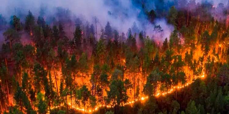 El fuego empieza casi siempre por una chispa humana