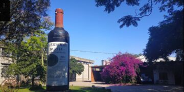 El remate de una bodega con historia en Carmelo