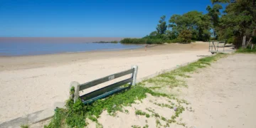 Ministerio de Ambiente envía muestras al Clemente Estable para determinar la causa de erupciones cutáneas en el Río Uruguay