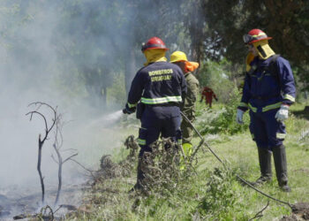 Un incendio forestal consume unas 40 hectáreas en Colonia y continúa activo