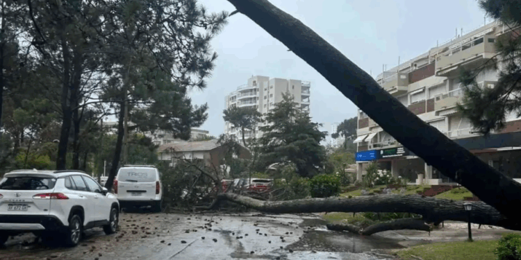Ciclón extratropical golpea Uruguay: daños, rescates y zonas más afectadas