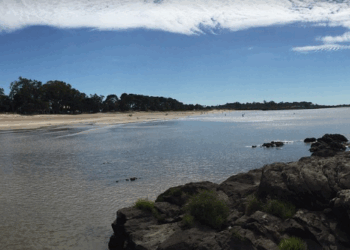 Detectan valores elevados de coliformes en un punto del arroyo La Caballada que afecta a la playa Ferrando