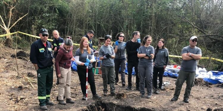 Antropólogos de la INDDHH trabajarán en Carmelo tras el hallazgo de restos óseos en el cementerio