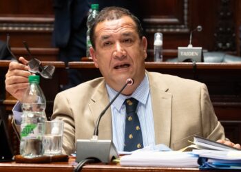 Senador Da Silva dice que en Europa hay prejuicios que dificultan el acuerdo con Mercosur