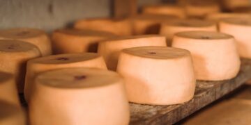 Productores queseros de Colonia advierten riesgos ante la apertura comercial con Europa