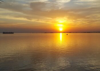 Ambiente reactiva el control ciudadano sobre UPM y analiza una ampliación de la planta sin más vertidos al río Uruguay