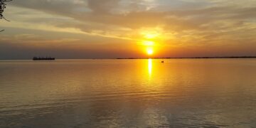 Ambiente reactiva el control ciudadano sobre UPM y analiza una ampliación de la planta sin más vertidos al río Uruguay