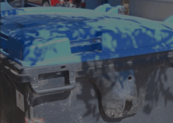 Residuos, salud y límites del sistema: las preguntas que abre una advertencia del Municipio de Carmelo