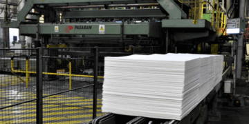 Proyectan una nueva planta de celulosa para producir papel tisú y exportar a Argentina