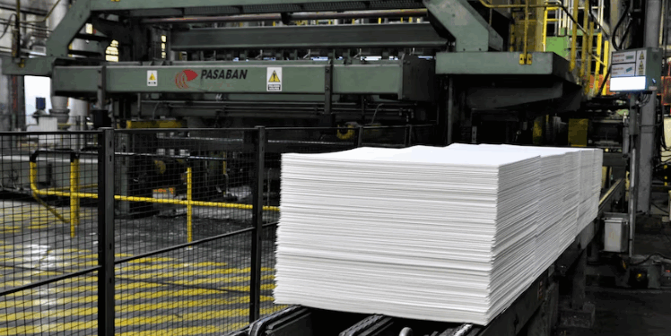 Proyectan una nueva planta de celulosa para producir papel tisú y exportar a Argentina