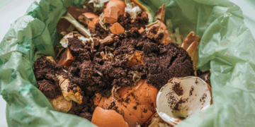 Gestión de residuos: el Municipio abre el debate sobre reciclaje, costos y reorganización del sistema