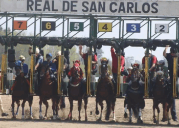 La actividad del Hipódromo Real de San Carlos recuperó niveles previos a la pandemia y cerró 2025 con más de 30 millones en apuestas