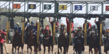 La actividad del Hipódromo Real de San Carlos recuperó niveles previos a la pandemia y cerró 2025 con más de 30 millones en apuestas