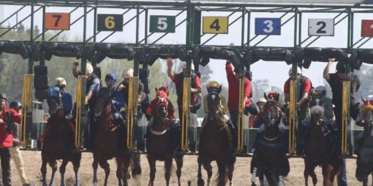 La actividad del Hipódromo Real de San Carlos recuperó niveles previos a la pandemia y cerró 2025 con más de 30 millones en apuestas