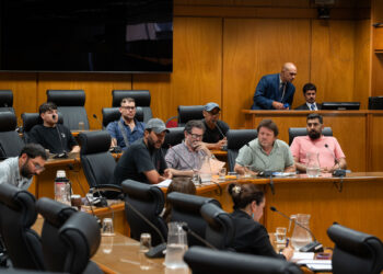 Diputados Colman y Farinha piden la comparecencia de ministros por cierres de empresas y más de 2.700 empleos afectados