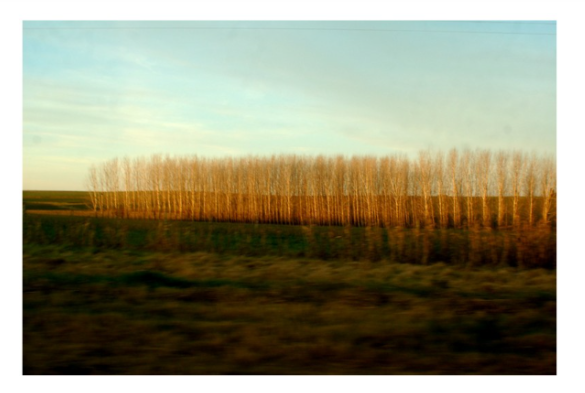 Javier Andrade inaugura en Colonia una muestra fotográfica dialogada con poesía