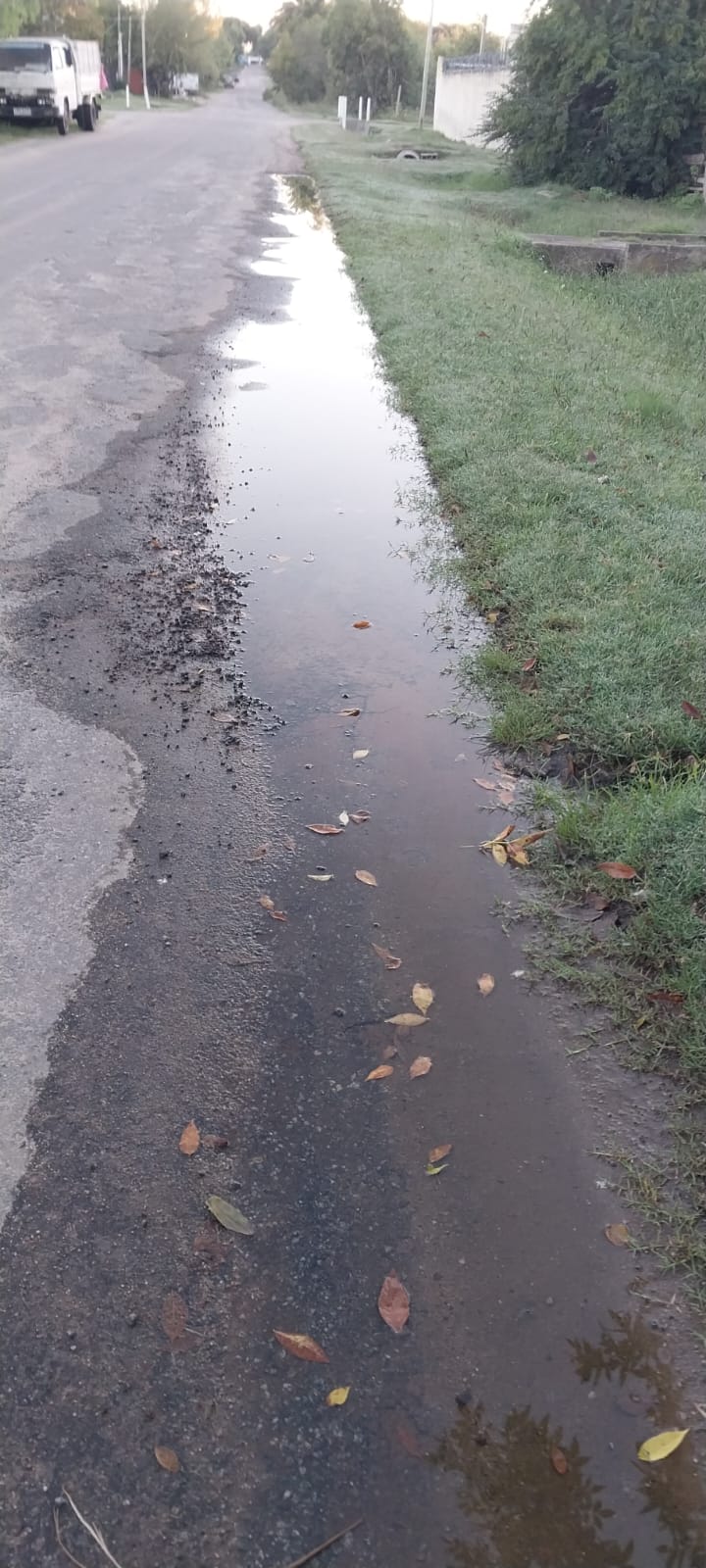 Vecinos reclaman el arreglo de una pérdida de agua en Paseo de los Argentinos, casi 25 de Mayo