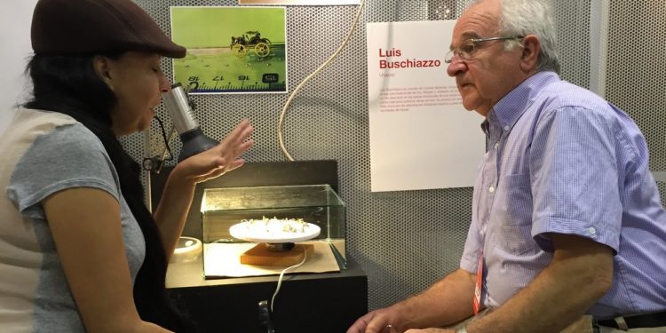 Dos colonienses se lucieron en Drap-Art Uruguay