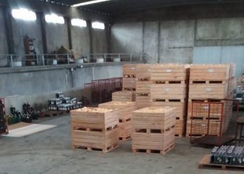Irurtia duplica exportación de calabacines con destino Italia