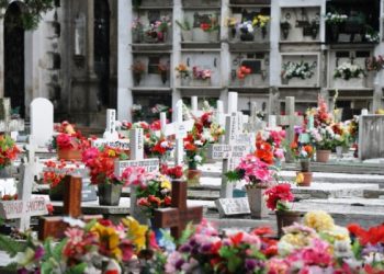 ¿Qué servicios se verán afectados este miércoles?