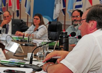 Ministerio de Industria presentó proyecto para subsidiar 100 ómnibus eléctricos para pasajeros