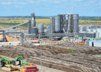 Trabajadores de STF Logística paran en Montes del Plata por condiciones laborales precarias